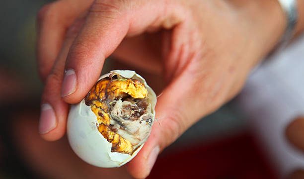 Balut